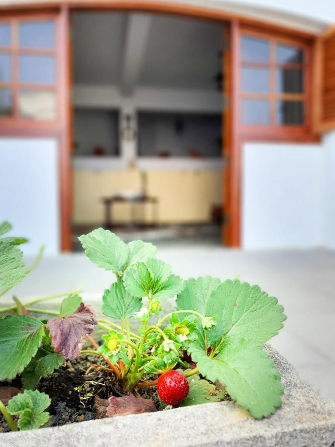 Las Esterlicias Teror Ngoại thất bức ảnh